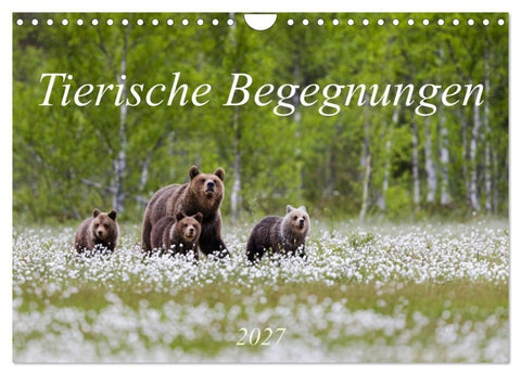 Tierische Begegnungen (Wandkalender 2027 DIN A4 quer), CALVENDO Monatskalender