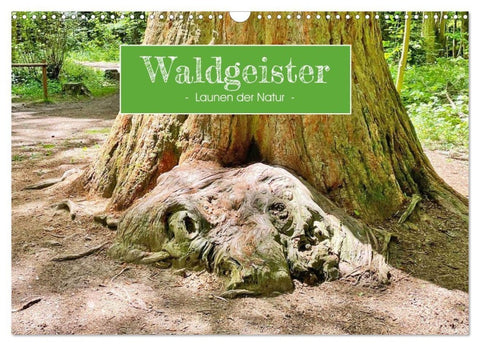 Waldgeister - Launen der Natur (Wandkalender 2027 DIN A3 quer), CALVENDO Monatskalender