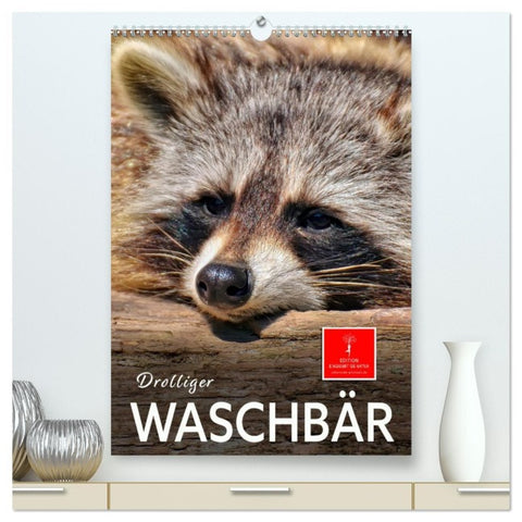 Drolliger Waschbär (hochwertiger Premium Wandkalender 2026 DIN A2 hoch), Kunstdruck in Hochglanz