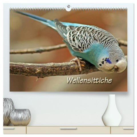 Wellensittiche (hochwertiger Premium Wandkalender 2027 DIN A2 quer), Kunstdruck in Hochglanz