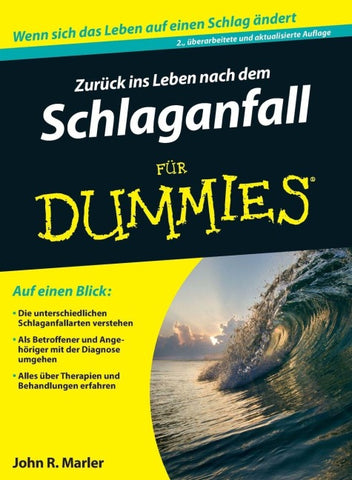 Zurück ins Leben nach dem Schlaganfall für Dummies