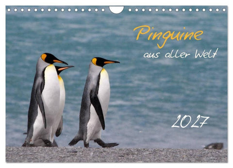 Pinguine aus aller Welt (Wandkalender 2027 DIN A4 quer), CALVENDO Monatskalender