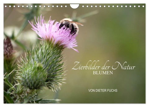 Zierbilder der Natur BLUMEN (Wandkalender 2027 DIN A4 quer), CALVENDO Monatskalender