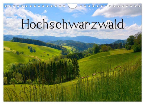 Hochschwarzwald (Wandkalender 2027 DIN A4 quer), CALVENDO Monatskalender