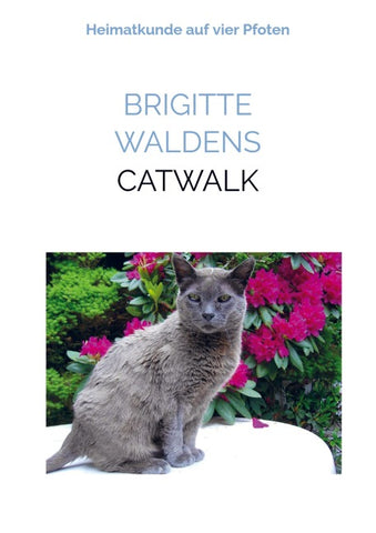 Catwalk