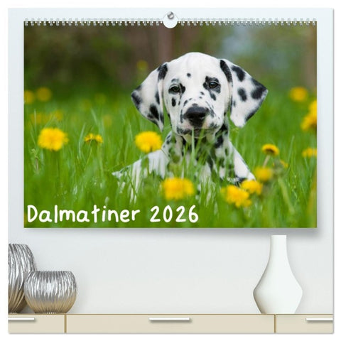 Dalmatiner 2026 (hochwertiger Premium Wandkalender 2026 DIN A2 quer), Kunstdruck in Hochglanz