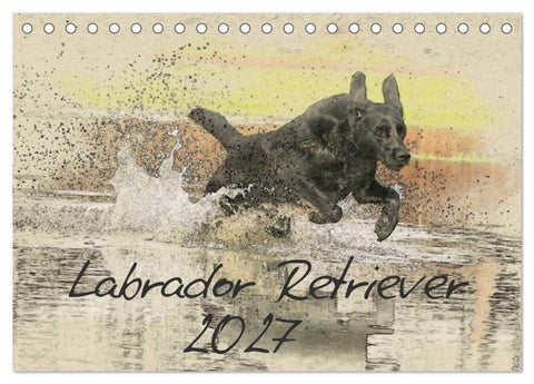 Labrador Retriever 2027 (Tischkalender 2027 DIN A5 quer), CALVENDO Monatskalender