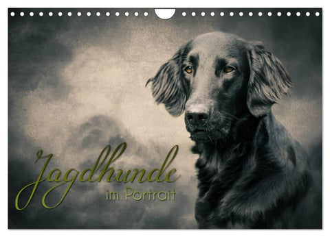 Jagdhunde im Portrait (Wandkalender 2027 DIN A4 quer), CALVENDO Monatskalender