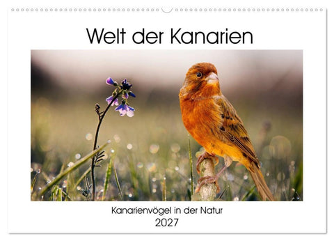 Welt der Kanarien (Wandkalender 2027 DIN A2 quer), CALVENDO Monatskalender