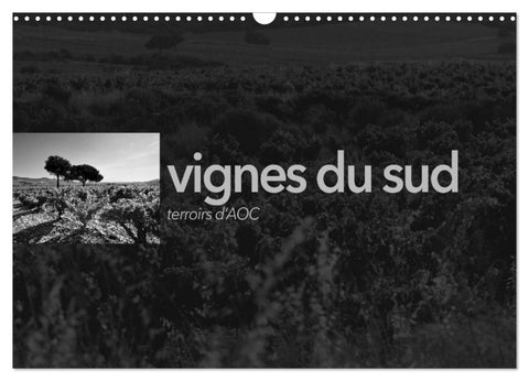 VIGNES DU SUD terroirs d'AOC (Calendrier mural 2027 DIN A3 vertical), CALVENDO calendrier mensuel