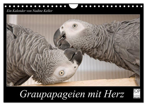 Graupapageien mit Herz (Wandkalender 2027 DIN A4 quer), CALVENDO Monatskalender