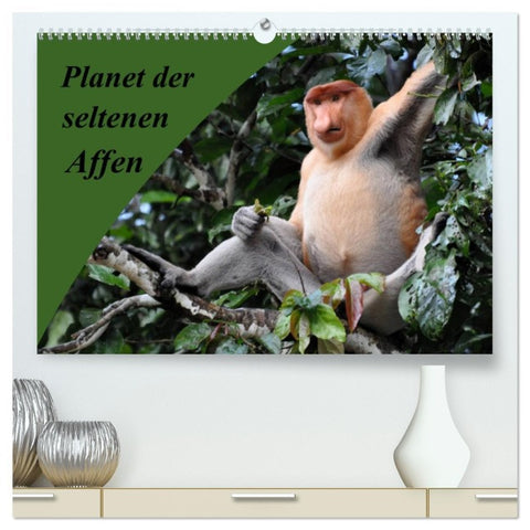 Planet der seltenen Affen (hochwertiger Premium Wandkalender 2026 DIN A2 quer), Kunstdruck in Hochglanz