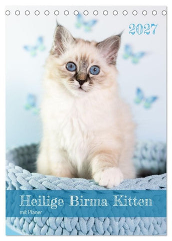 Heilige Birma Kitten Kalender mit Planer (Tischkalender 2027 DIN A5 hoch), CALVENDO Monatskalender