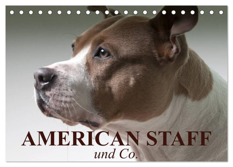 American Staff und Co. (Tischkalender 2026 DIN A5 quer), CALVENDO Monatskalender