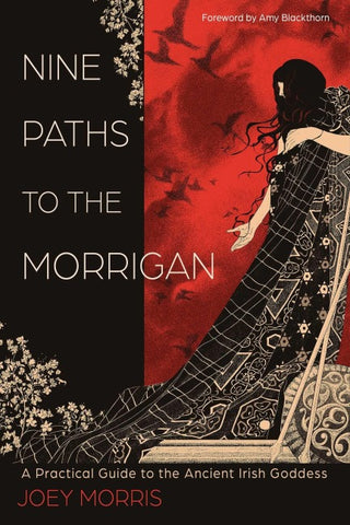 Nine Paths to The Morrigan