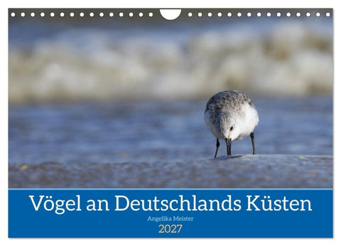 Vögel an Deutschlands Küsten (Wandkalender 2027 DIN A4 quer), CALVENDO Monatskalender