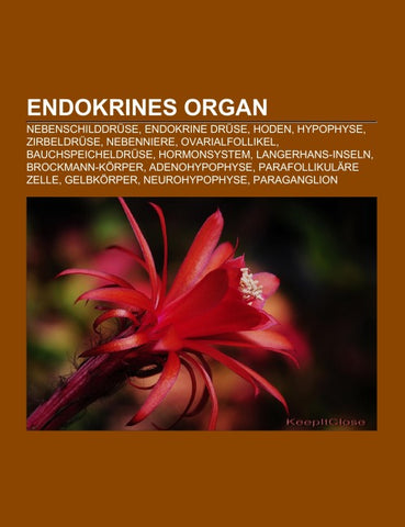 Endokrines Organ