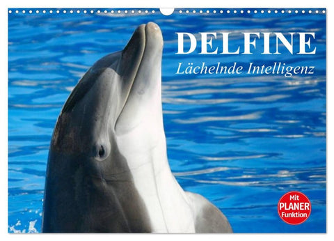 Delfine - Lächelnde Intelligenz (Wandkalender 2026 DIN A3 quer), CALVENDO Monatskalender