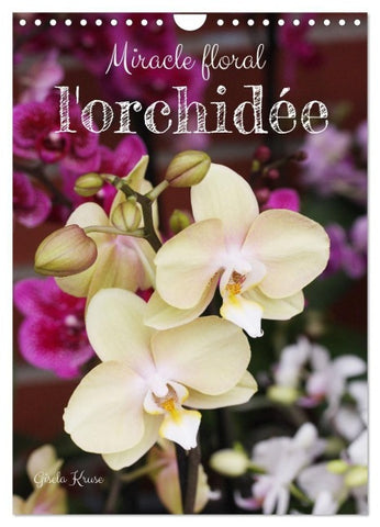 Miracle floral l'orchidée (Calendrier mural 2027 DIN A4 horizontal), CALVENDO calendrier mensuel
