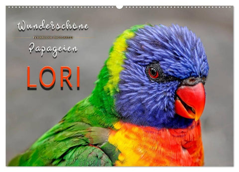 Wunderschöne Papageien - Lori (Wandkalender 2027 DIN A2 quer), CALVENDO Monatskalender