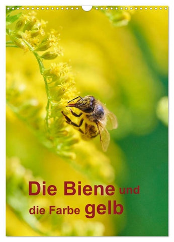 Die Biene und die Farbe gelb (Wandkalender 2027 DIN A3 hoch), CALVENDO Monatskalender