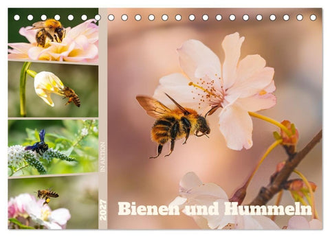 Bienen und Hummeln in Aktion (Tischkalender 2027 DIN A5 quer), CALVENDO Monatskalender