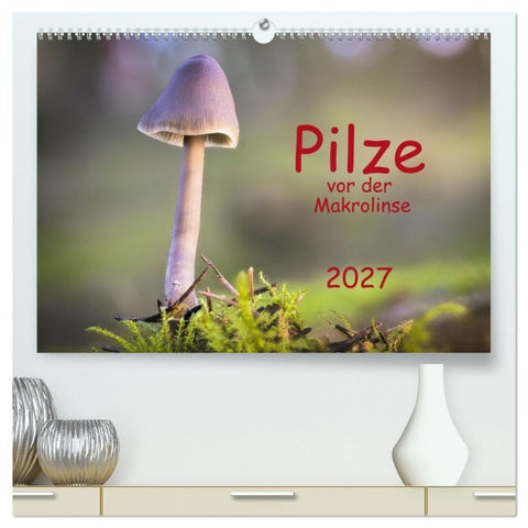 Pilze vor der Makrolinse 2027 (hochwertiger Premium Wandkalender 2027 DIN A2 quer), Kunstdruck in Hochglanz