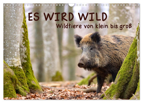 ES WIRD WILD Wildtiere von klein bis groß (Wandkalender 2026 DIN A3 quer), CALVENDO Monatskalender