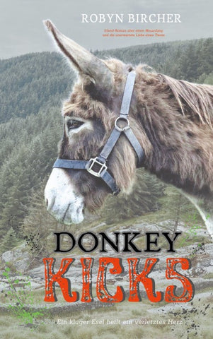 Donkey Kicks