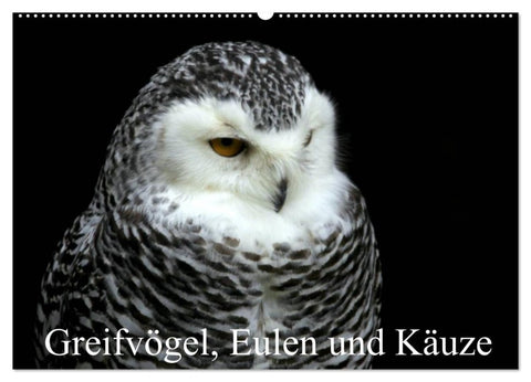 Greifvögel, Eulen und Käuze (Wandkalender 2026 DIN A2 quer), CALVENDO Monatskalender