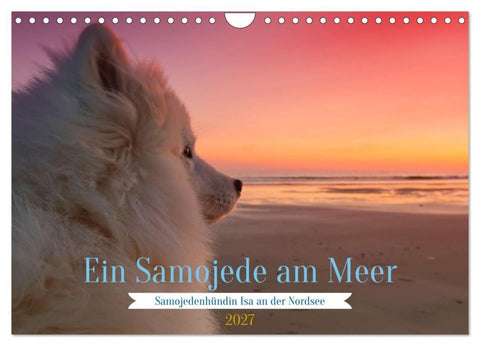 Ein Samojede am Meer (Wandkalender 2027 DIN A4 quer), CALVENDO Monatskalender