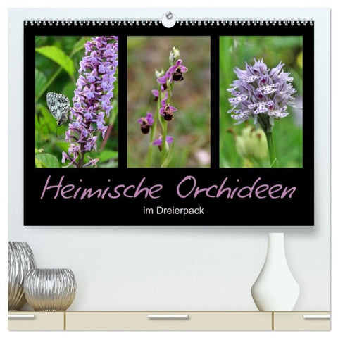 Heimische Orchideen im Dreierpack (hochwertiger Premium Wandkalender 2027 DIN A2 quer), Kunstdruck in Hochglanz