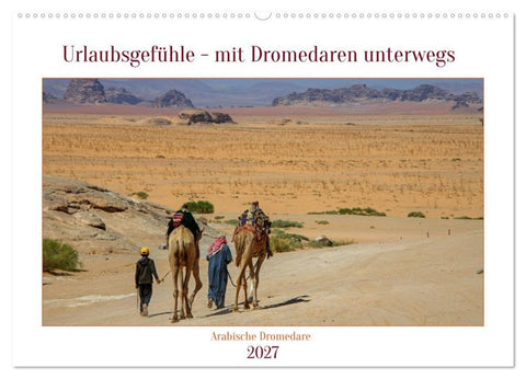 Urlaubsgefühle - mit Dromedaren unterwegs (Wandkalender 2027 DIN A2 quer), CALVENDO Monatskalender