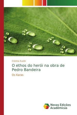O ethos do herói na obra de Pedro Bandeira