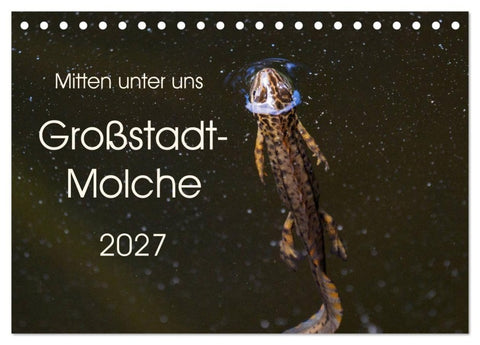 Mitten unter uns - Großstadt-Molche (Tischkalender 2027 DIN A5 quer), CALVENDO Monatskalender