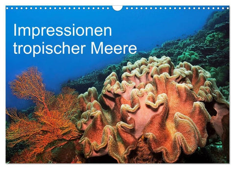 Impressionen tropischer Meere (Wandkalender 2027 DIN A3 quer), CALVENDO Monatskalender
