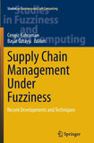 Supply Chain Management Under Fuzziness