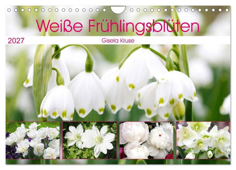 Weiße Frühlingsblüten (Wandkalender 2027 DIN A4 quer), CALVENDO Monatskalender