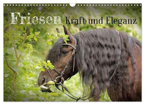 Friesen - Kraft und Eleganz (Wandkalender 2027 DIN A3 quer), CALVENDO Monatskalender