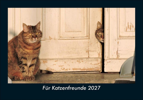 Für Katzenfreunde 2027 Fotokalender DIN A5