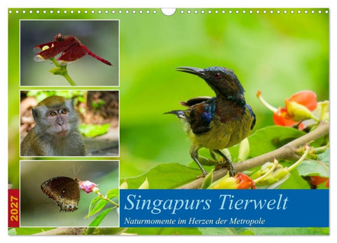 Singapurs Tierwelt (Wandkalender 2027 DIN A3 quer), CALVENDO Monatskalender
