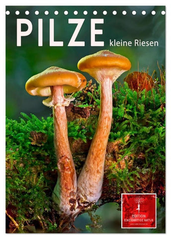 Pilze - kleine Riesen (Tischkalender 2027 DIN A5 hoch), CALVENDO Monatskalender