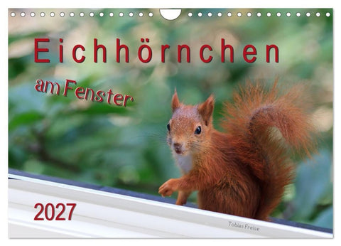 Eichhörnchen am Fenster (Wandkalender 2027 DIN A4 quer), CALVENDO Monatskalender