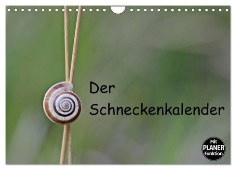 Der Schneckenkalender (Wandkalender 2027 DIN A4 quer), CALVENDO Monatskalender