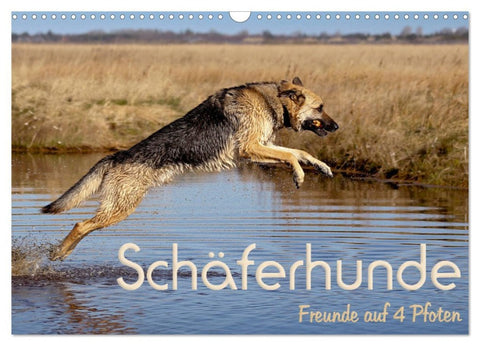 Schäferhunde - Freunde auf 4 Pfoten (Wandkalender 2026 DIN A3 quer), CALVENDO Monatskalender