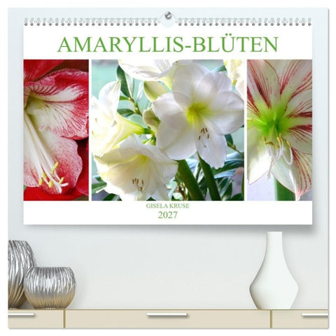Amaryllis-Blüten (hochwertiger Premium Wandkalender 2027 DIN A2 quer), Kunstdruck in Hochglanz