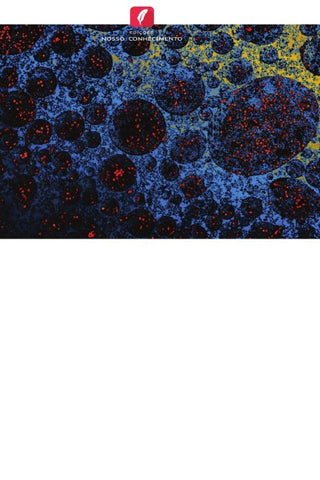Proteína C-reativa e diagnóstico de cancro