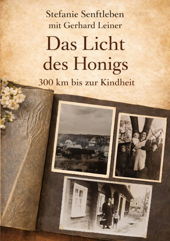 Das Licht des Honigs