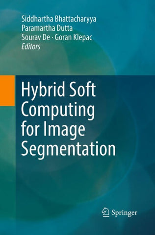 Hybrid Soft Computing for Image Segmentation