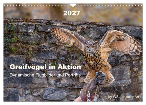 Greifvögel in Aktion - Dynamische Flugbilder und Porträts (Wandkalender 2027 DIN A3 quer), CALVENDO Monatskalender